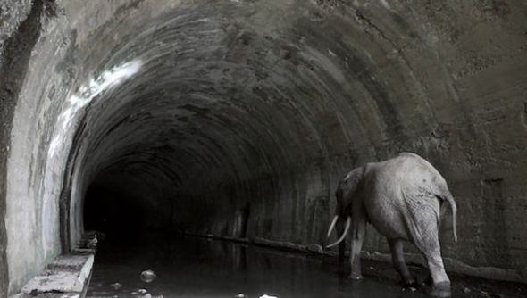 Txuspo Poyo. Expediente Túnel de la Engaña.
